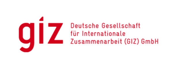 GIZ logo